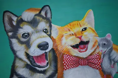 Животные: смешные фото котов и собак. Смешные фотографии животных