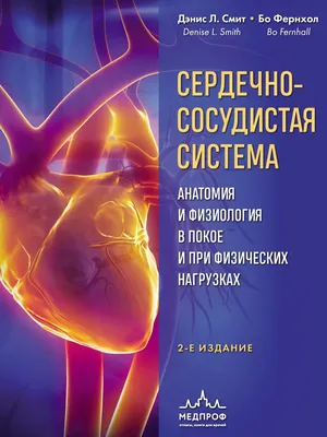 Анатомия сердечно-сосудистой системы, В. И. Козлов – скачать pdf на ЛитРес