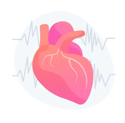 Медицинский центр КОРСАКОВ - Сердечно сосудистая система первой принимает  на себя удар, как известно, её главная функция снабжать кровью, обогащенной  кислородом все системы организма, и сердечная мышца работает круглые сутки  на протяжении