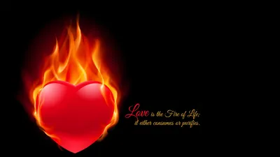 Сердце в огне пылает логотип вектора значка Иллюстрация вектора -  иллюстрации насчитывающей зарево, праздник: 121175506
