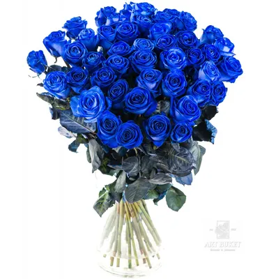 Букет из синих роз (101 шт) купить с доставкой в интернет-магазине за  56638р. Позиция № 109