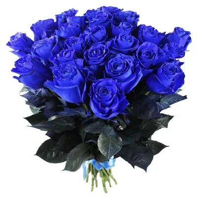 Цветы в Грозном - 101 шикарная синяя Роза😍 Синие розы... | Facebook