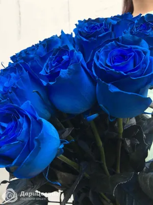Синие розы 21 шт с доставкой по Алмате — Cvety.kz