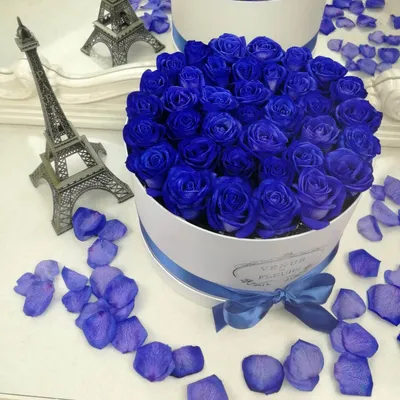 Купить фотообои Синие розы на стену: цены, фото, каталог - интернет-магазин  «LIKE»