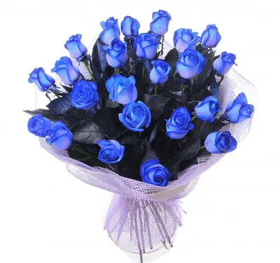 Купить Букет из 51 синих роз по цене 7 395грн. от LaVanda