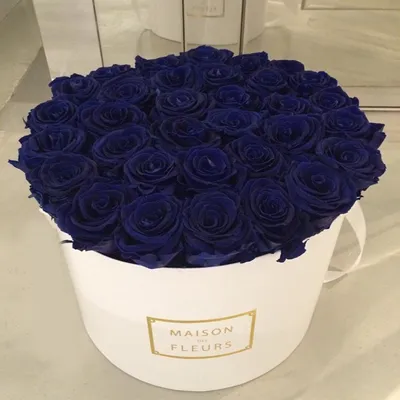 Букет из Голландских синих роз, сорт Vendela Blue | купить синие розы