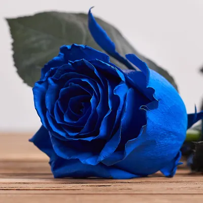 Купить Букет из 25 синих роз по цене 3 750грн. от LaVanda