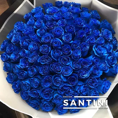 Доставка цветов Киев, синие розы от интернет магазина Лепестки
