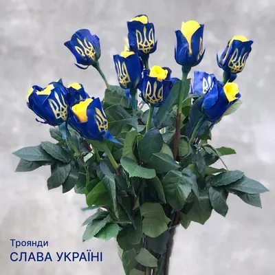Синие Розы для Букетов - Заказывайте Цветы с Доставкой!