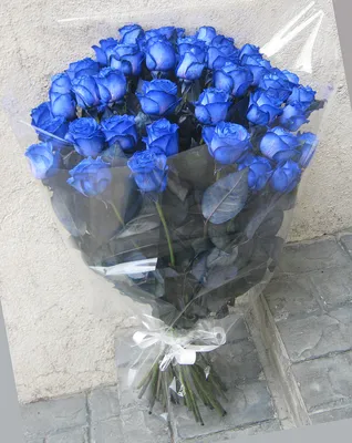 Букет 31 роза синяя черная радужная купить с доставкой в СПб