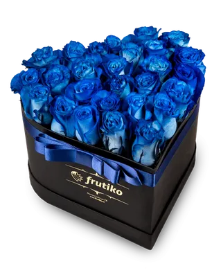 Жёлто-синие розы \"Слава Украине\" купить в Киеве: цена, заказ, доставка |  Магазин «Камелия»