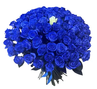 Букет из 35 синих роз