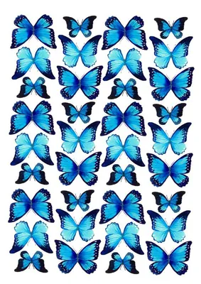 бабочки фиолетовые #бабочкитагуи #buterfly #бабочкифиолетовые | Butterfly  cake topper, Birthday cake topper printable, Butterfly clip art