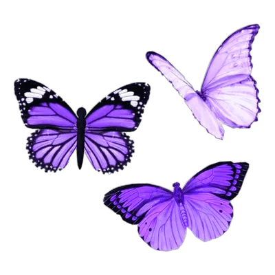 Сиреневые бабочки - 12шт. (ID#1887647013), цена: 125 ₴, купить на Prom.ua