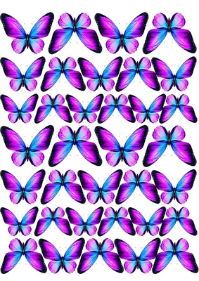 фиолетовый бабочка летающая бабочка стикер стены - TenStickers