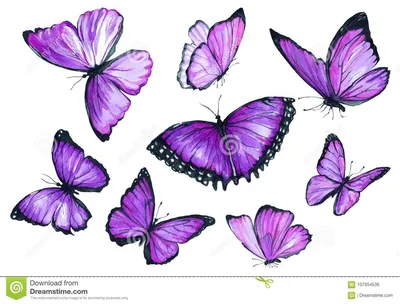 Декор для творчества \"Сиреневые бабочки\" набор 3 шт 5х8,5 см купить за 14  рублей - Podarki-Market