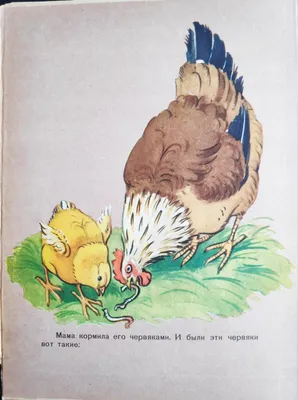 Сказка чуковского цыпленок в картинках обои