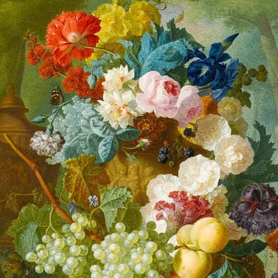 Цветы и растения : Сказочный цветок
