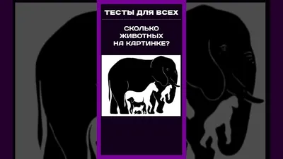 Книга Наклейки многоразовые «Животные со всего света», формат А4 - купить  развивающие книги для детей в интернет-магазинах, цены на Мегамаркет |  Р00010974