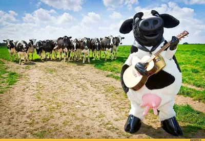 Смешная милая корова пьет пиво на …» — создано в Шедевруме