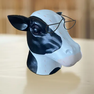 Портрет коровы на фоне поля. Красивая смешная корова на ферме. Молодой  чёрно-белый теленок смотрит в камеру. Любопытная забавная корова со смешной  большой мордой и естественным фоном стоковое фото ©esvetleishaya 132207500