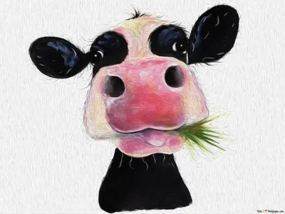 Смешная корова (27 фото) - shutniks.com