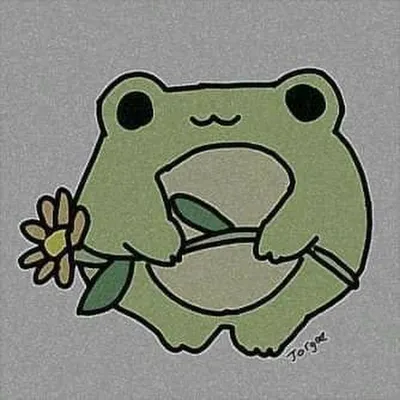зеленая лягушка стоит над водой, забавная картинка лягушки, лягушка, смешной  фон картинки и Фото для бесплатной загрузки