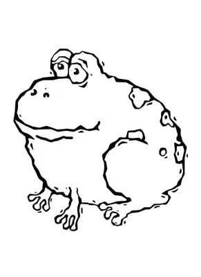 Смешная лягушка рисунок карандашом - 62 фото