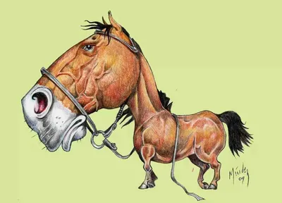 Смешные картинки лошади нарисованные обои