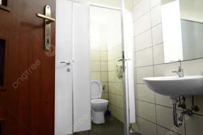 В сети появилось фото уникального туалета в брянской гимназии №2