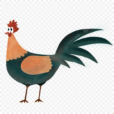 Смешные пары петуха и курицы Иллюстрация вектора - иллюстрации  насчитывающей талисман, петух: 78242709