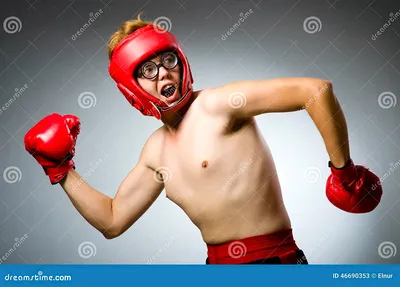 Смешные картинки про бокс обои