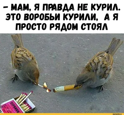 Instagram photo by Jokes / мемы приколы юмор • May 21, 2020 at 10:11 AM