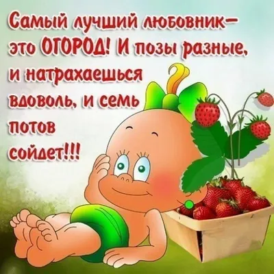 Смешные анекдоты про дачу | Дачные советы от PartPrice.ru | Дзен
