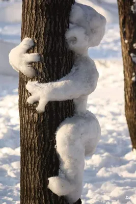 две забавные подруги веселятся в зимний снегопад возле снежных деревьев  Стоковое Изображение - изображение насчитывающей люди, девушка: 233343149