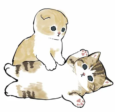Смешные кошки картинки рисунки обои