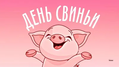 Смешные розовые свиньи в стойле Стоковое Изображение - изображение  насчитывающей отечественно, счастливо: 48559437