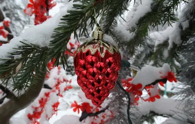 Картинки Рождество Елка Природа Леса снега Шар Гирлянда Праздники