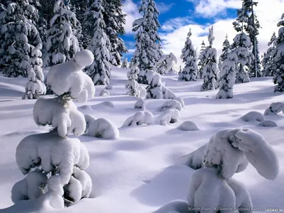 снеговик и карандаш в разноцветном снегу, легко рисовать новогодние  картинки, легкий, мультфильм фон картинки и Фото для бесплатной загрузки