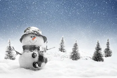 Фотография Рождество Ель Зима снега снеговика