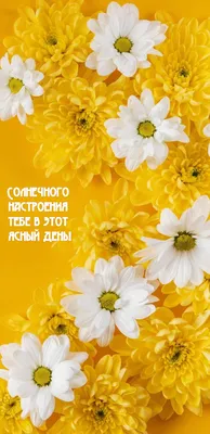 Доброе БЛАГОСЛОВЕННОЕ утро!!! Хорошего дня солнечного настроения отличной  погоды!❄❄❄ | ВКонтакте