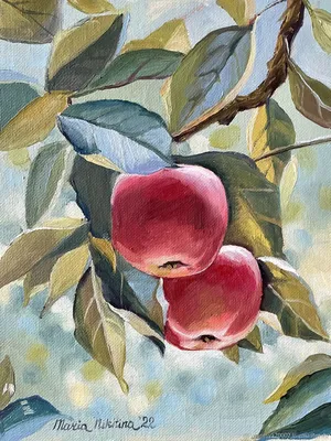 картинки : красное яблоко, фрукты, цветок, Пища, цветущее растение, местная  еда, персик, лист, фруктовое дерево, производить, Розовая семья, Малус,  Натуральные продукты, Многолетнее растение 4032x3024 - vigouv - 1593795 -  красивые картинки - PxHere