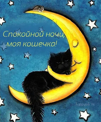 Спокойной ночи с кошками - картинки и фото koshka.top