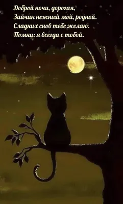 Открытка спокойной ночи кошка (50 фото) » рисунки для срисовки на  Газ-квас.ком