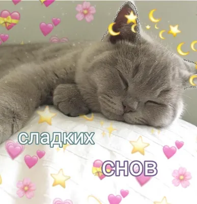 Открытка спокойной ночи с котом - 62 фото