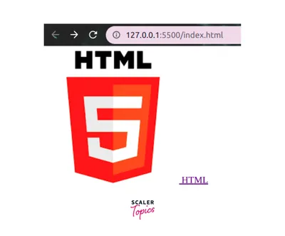 12: How to Create Links in HTML | Basics of CSS| Learn HTML and CSS | Full  Course For Beginners - YouTube