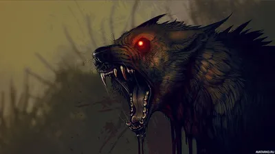 Страшный чёрный волк со светящимися красными глазами — Скачать картинки