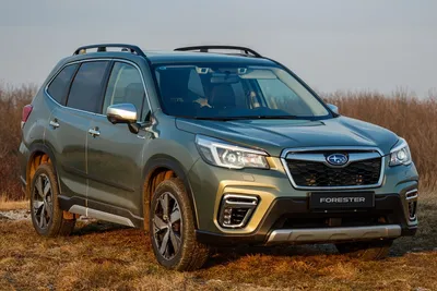 Subaru Forester – What you need to know - carsales.com.au