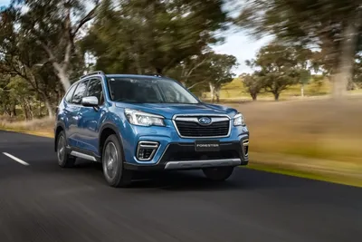 The Subaru Forester Wilderness Excels at Real Life | Gear Patrol