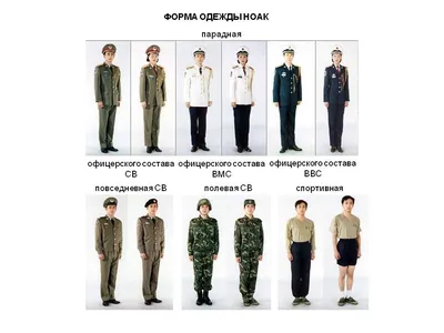 Специальные войска — Военный информационный портал Министерства обороны  Республики Беларусь